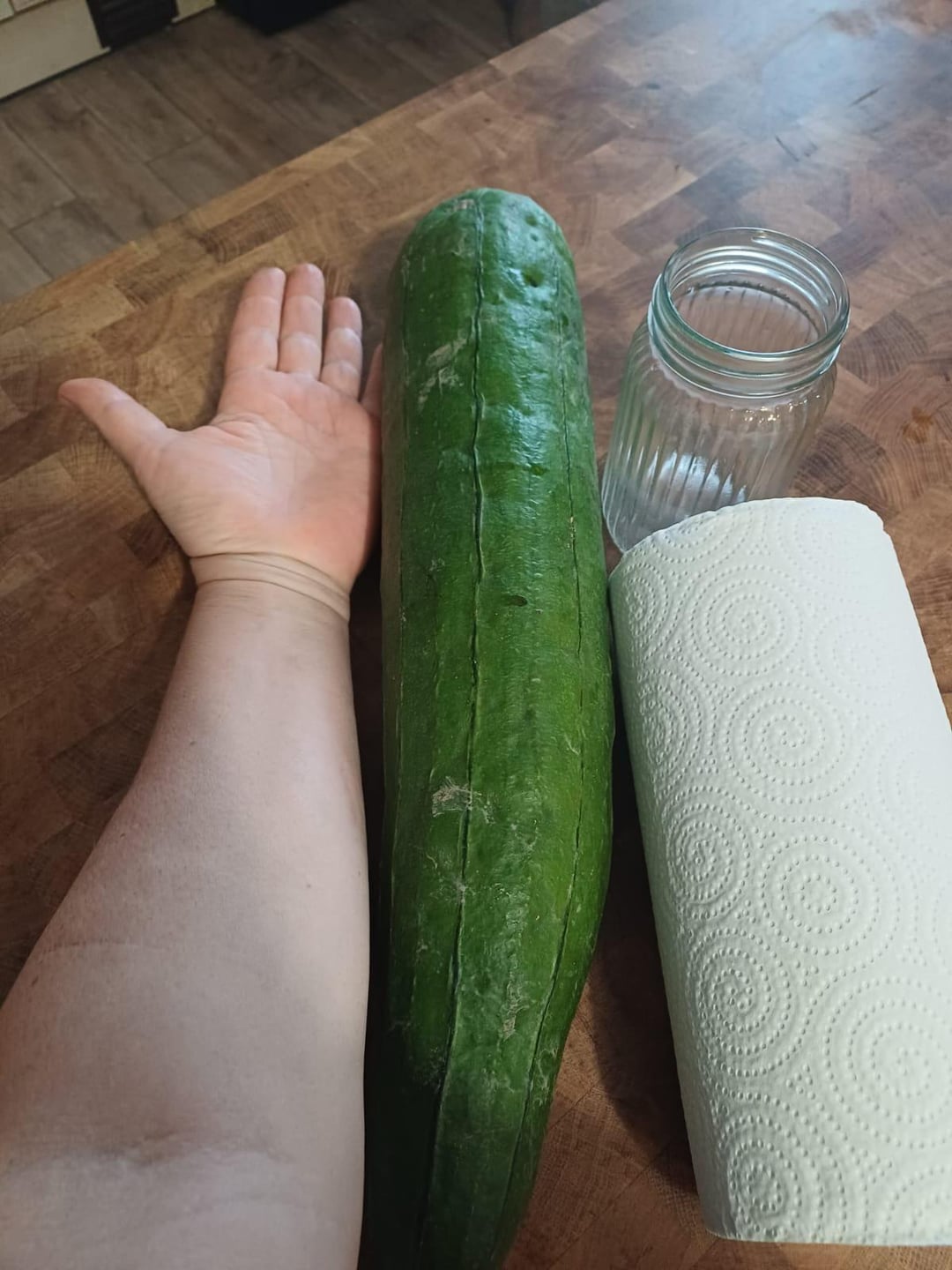 Giant cucumber