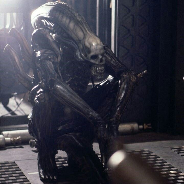 Alien sitting 