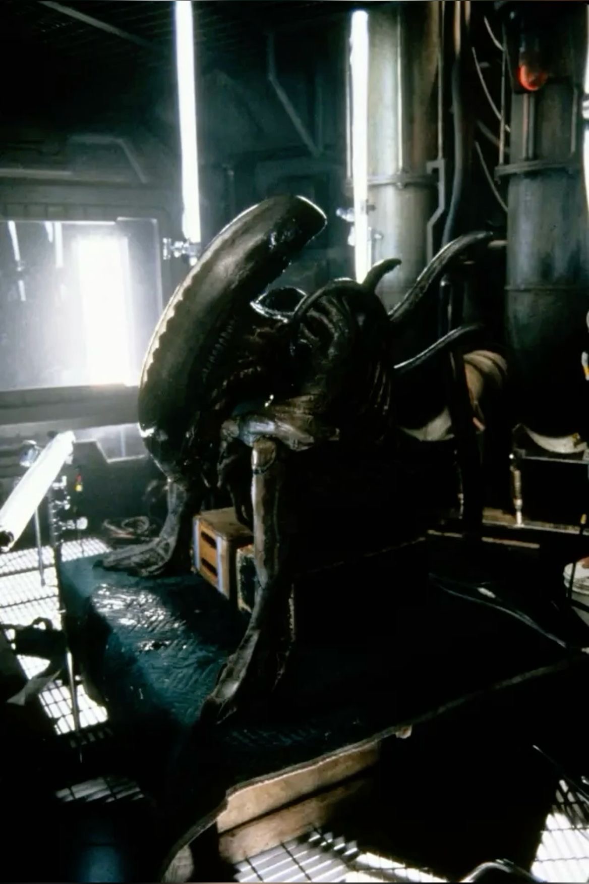 Xenomorph sitting 