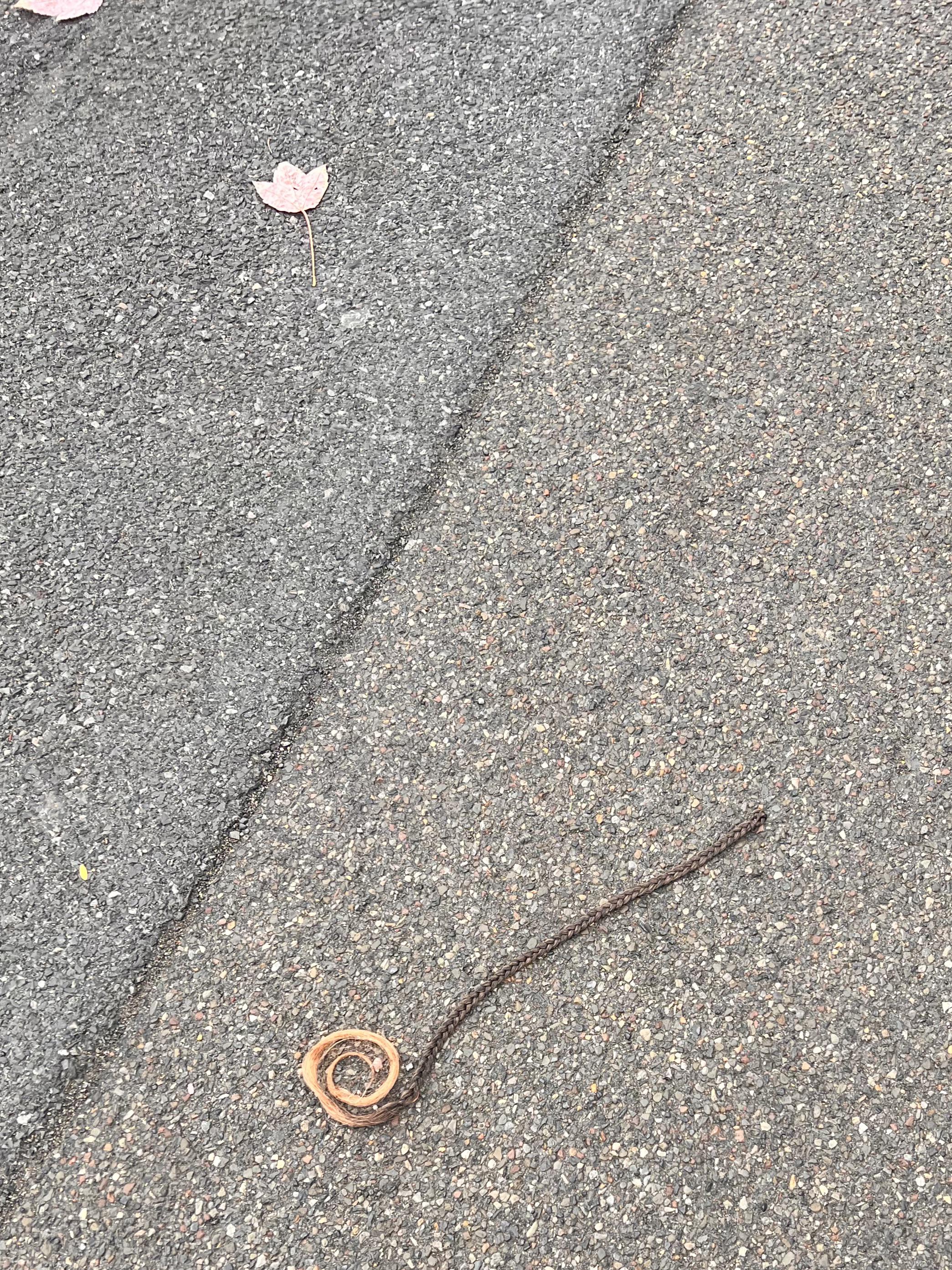 A padawan was knighted on my college campus | /r/PrequelMemes