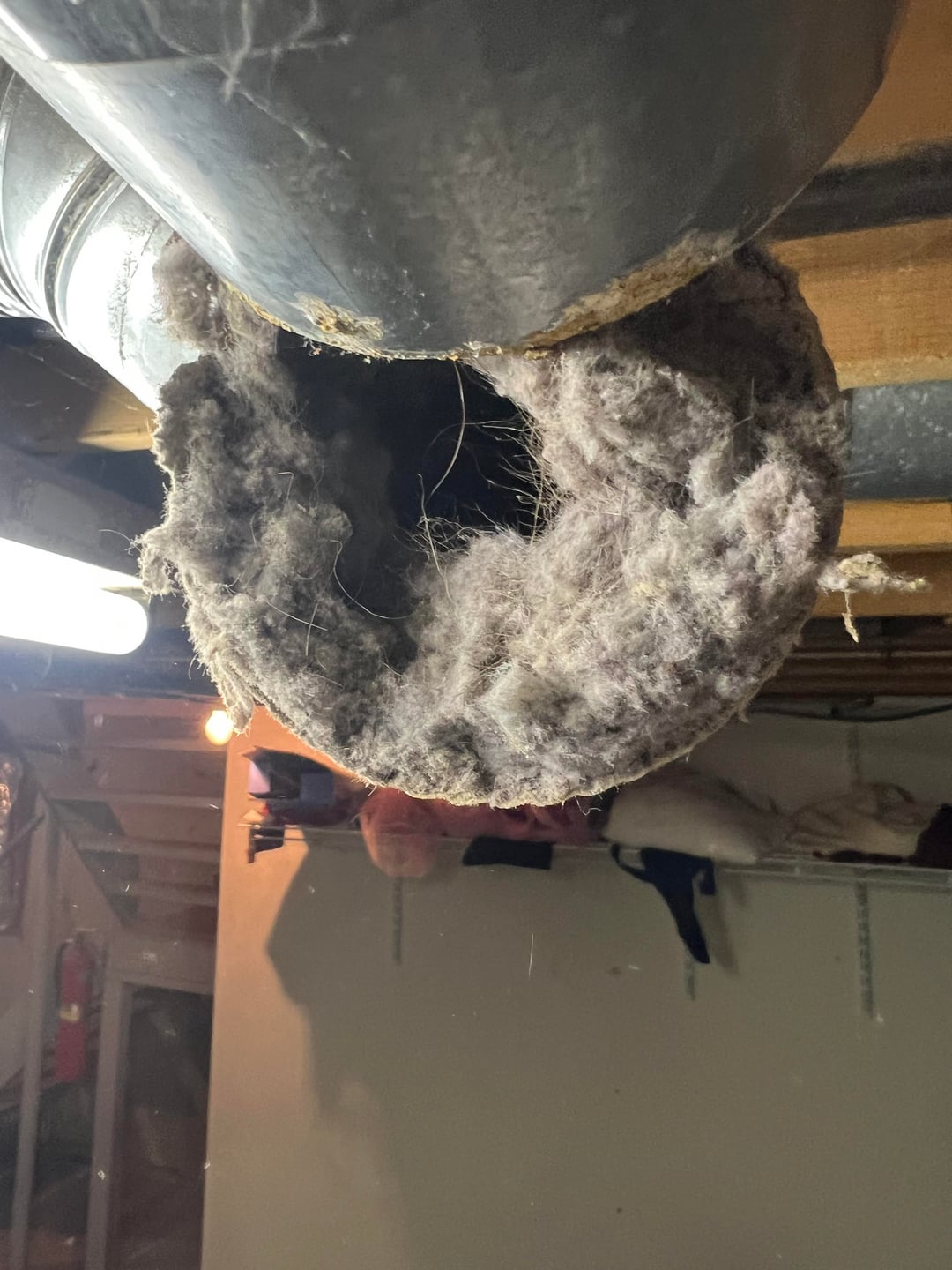 "Moved into a new house and couldn’t figure out why our clothes weren’t drying"