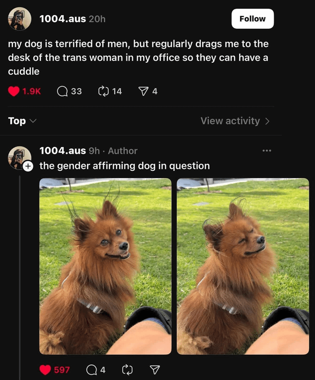 1004.aus 20h Follow my dog is terrified of men, but regularly drags me to the desk of the trans woman in my office so they can have a cuddle Top 1.9K 33 () 14 4 View activity > 1004.aus 9h. Author the gender affirming dog in question 597 Q4 ☑