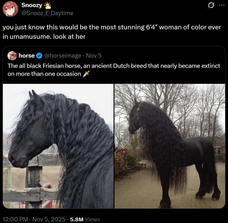 A response to a tweet about Friesian horses. It reads, "you just know this would be the most stunning 6'4" woman of color ever in umamusume. look at her."