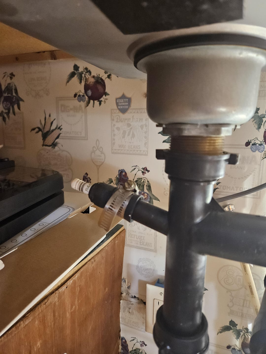 OG-NA EDGETT BESON NEW YORK TOMATOES RA CORN Burnham TINY WAX BEANS 00000000000 EXTRA SMALL GUT REFUGEE CONT BEANS WAX BEANS CHOICE NA BRAND TOMATO Ne 3 SIFTED