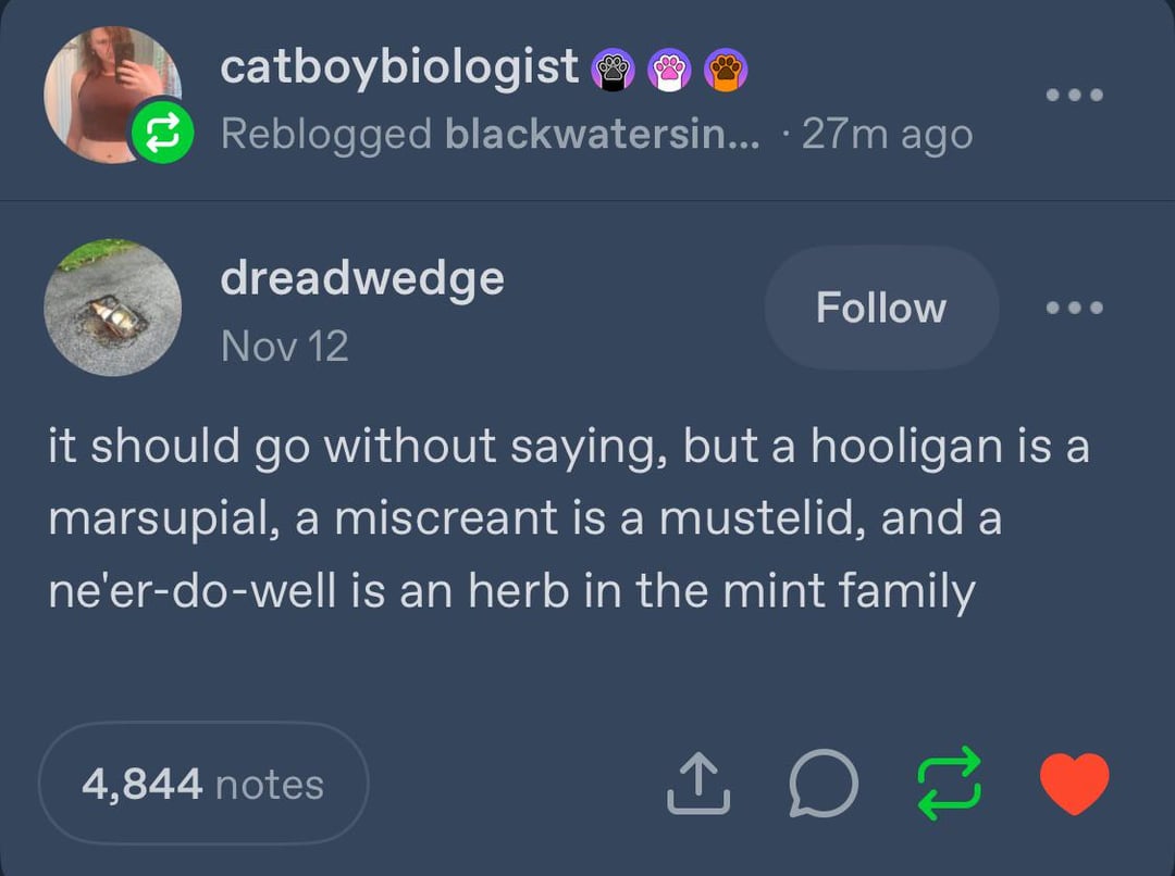 catboybiologist ☺ ☺ ☺ Reblogged blackwatersin... . 27m ago dreadwedge Follow Nov 12 it should go without saying, but a hooligan is a marsupial, a miscreant is a mustelid, and a ne'er-do-well is an herb in the mint family 4,844 notes