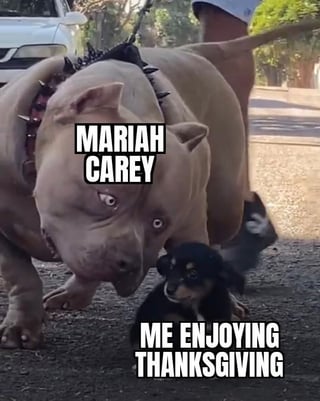 MARIAH CAREY ME ENJOYING THANKSGIVING