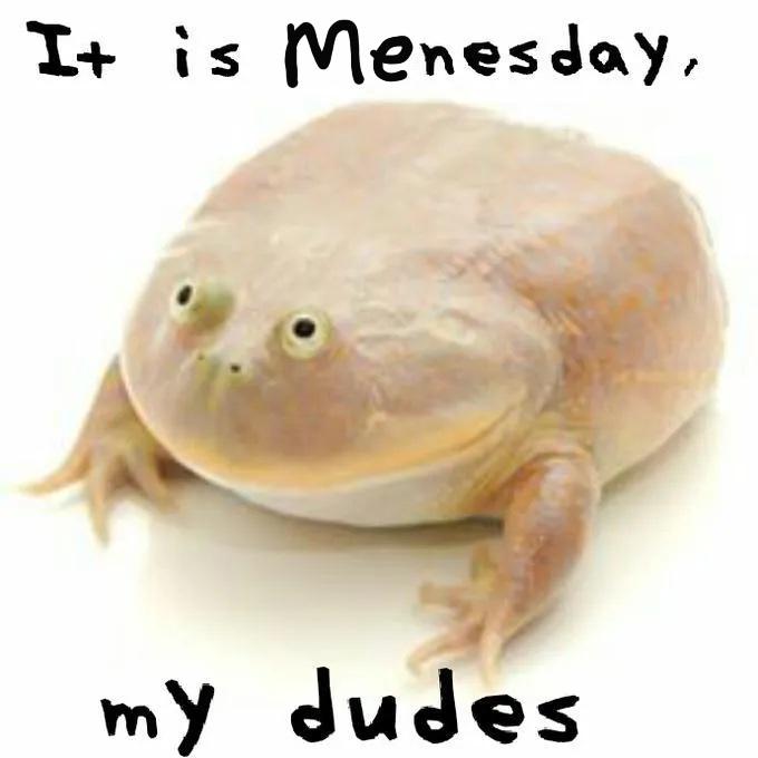 It is Menesday, my dudes