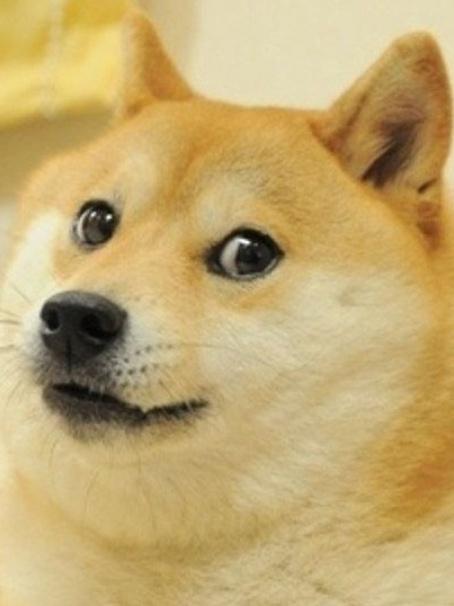 R.I.P Doge 2005-2024 | /r/dogelore