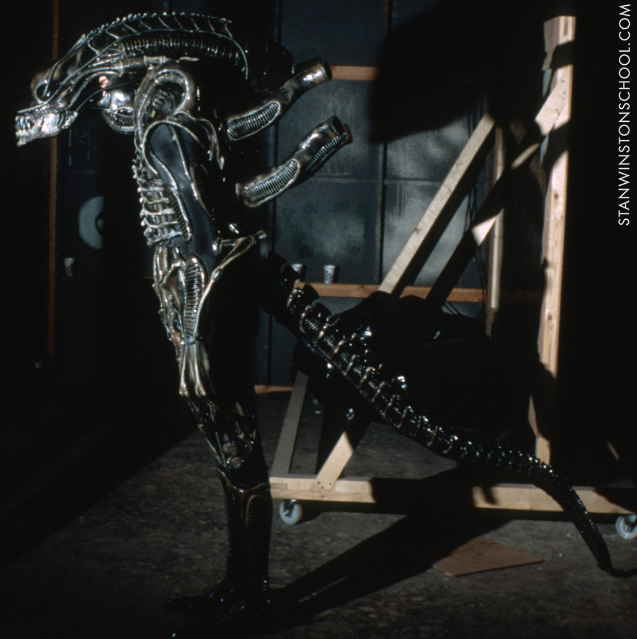 STANWINSTONSCHOOL.COM