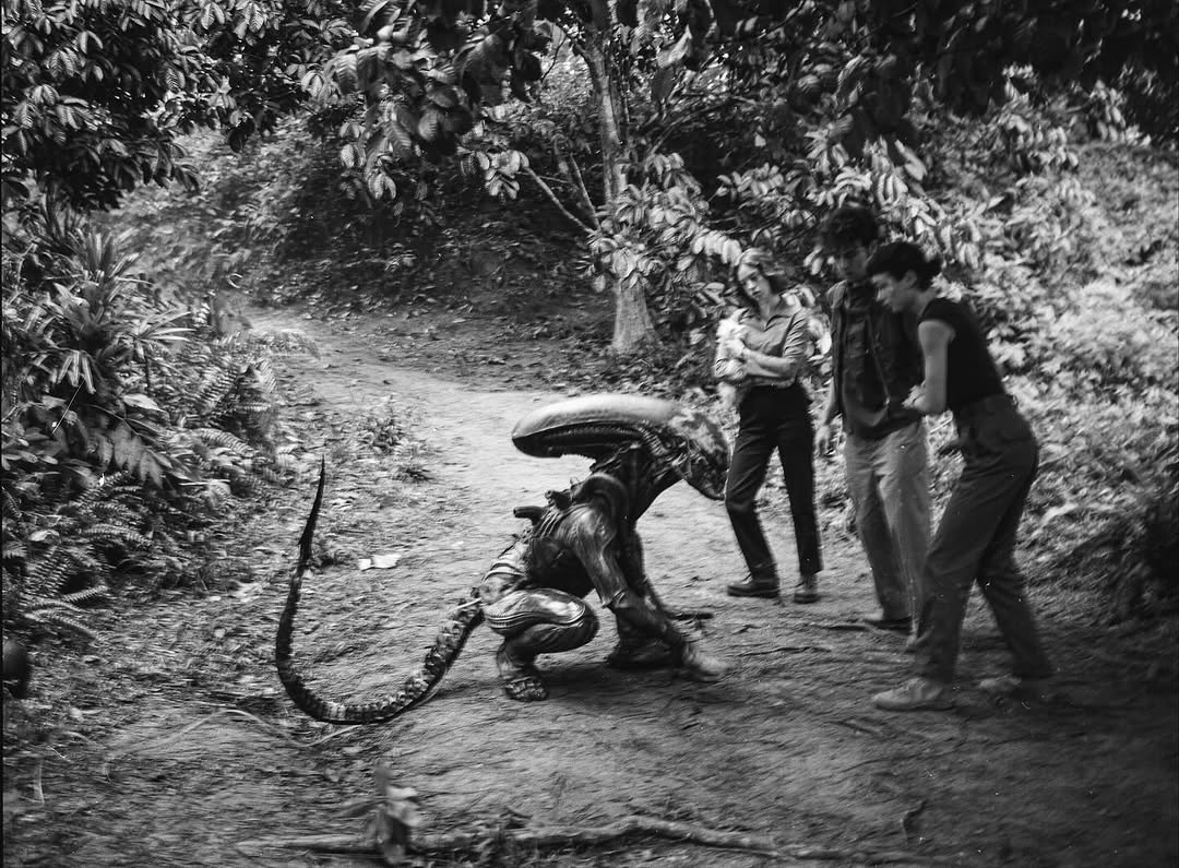 Meeting an alien in the woods