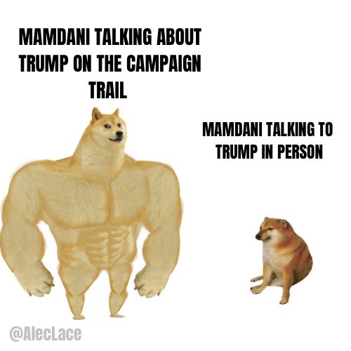 MAMDANI TALKING ABOUT TRUMP ON THE CAMPAIGN TRAIL @AlecLace MAMDANI TALKING TO TRUMP IN PERSON
