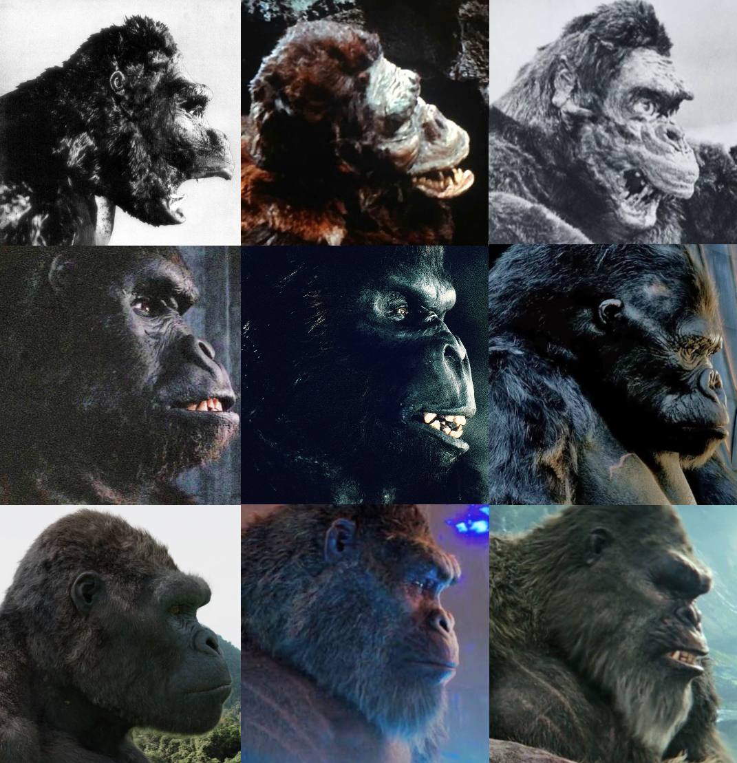 Evolution of kong