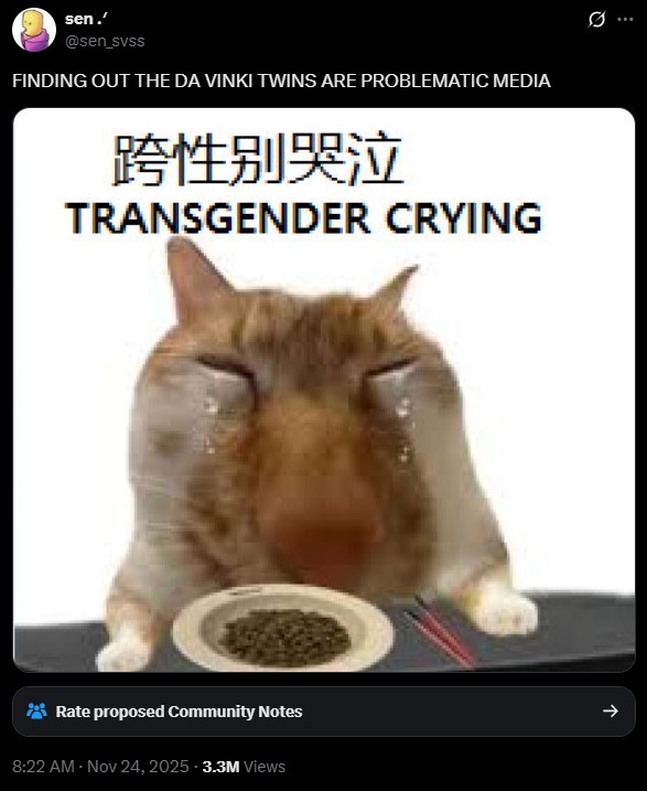 A tweet reading, "FINDING OUT THE DA VINKI TWINS ARE PROBLEMATIC MEDIA." This refers to allegations that the twins stole content from Marie Pax.