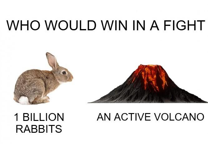10000 Rats Question a scientific question | /r/dankmemes | Know Your Meme