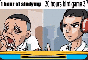 1 hour of studying 20 hours bird game 3