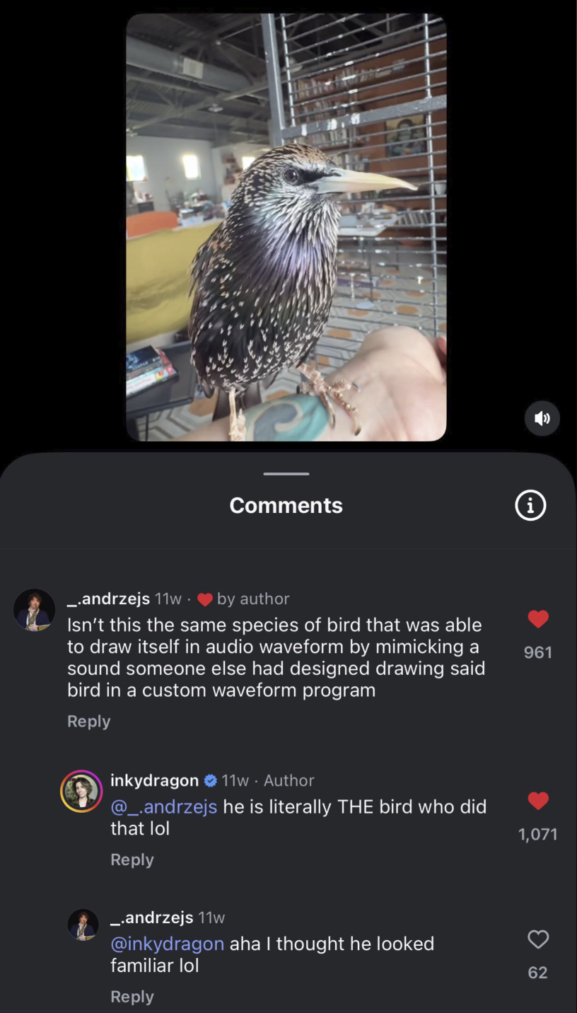 Bird Rapper Memes Famous bird | Know Your Meme