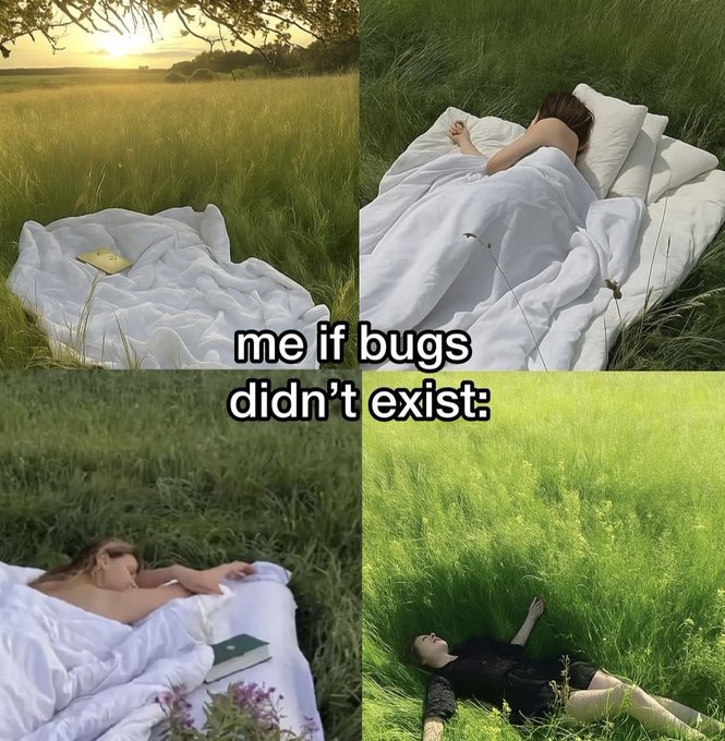 A meme showing four girls lying in the grass. The caption reads, "Me if bugs didn't exist."