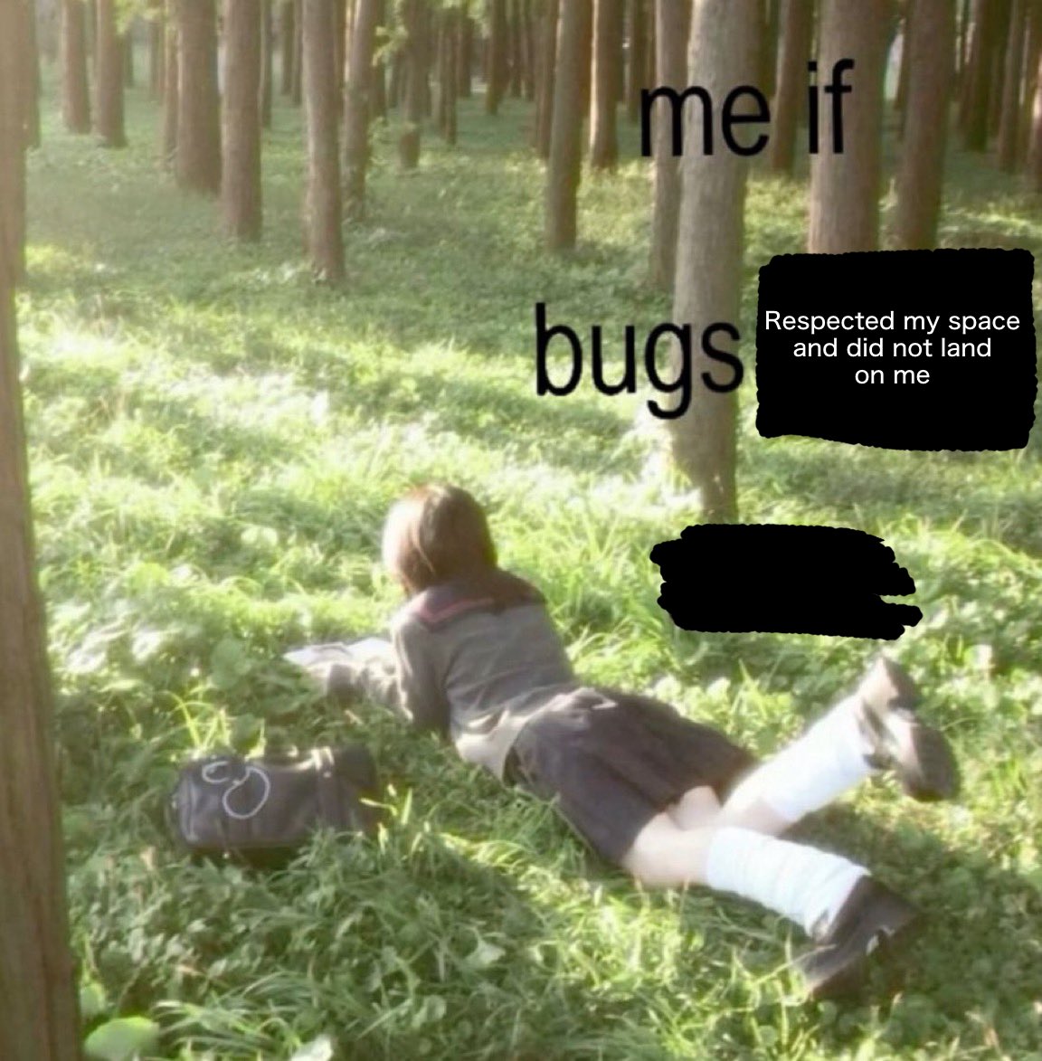 A meme with a girl lying in the grass. It reads, "Me if bugs respected my space."