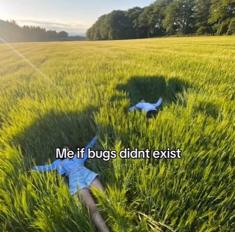 Me if bugs didnt exist