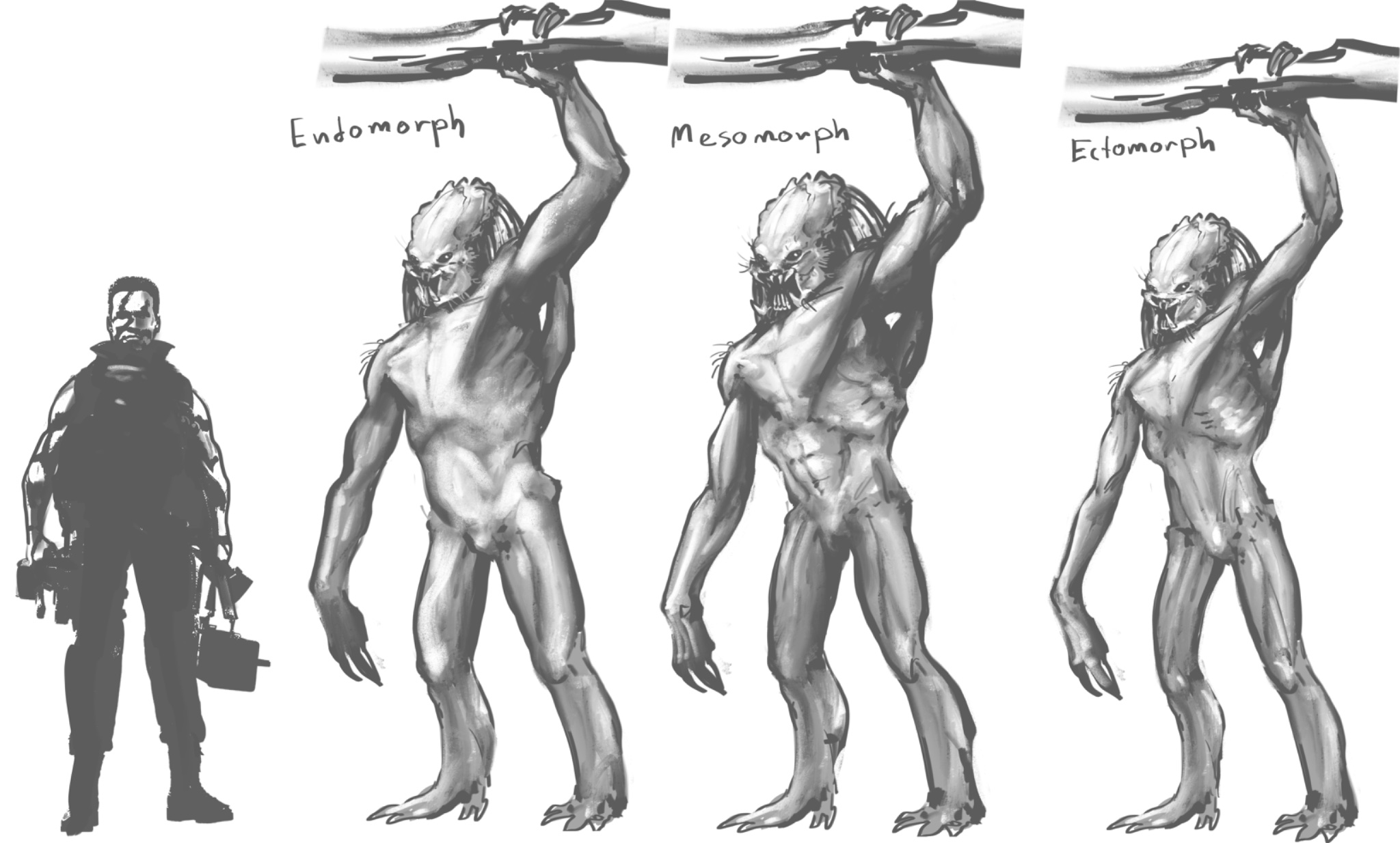 Endomorph Mesomorph Ectomorph