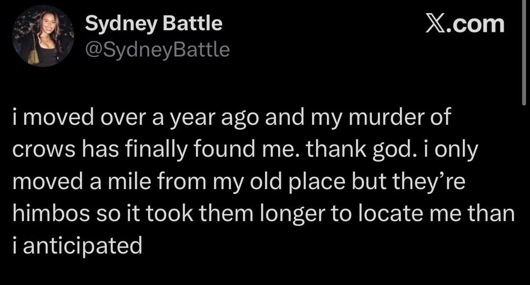 Sydney Battle @SydneyBattle X.com i moved over a year ago and my murder of crows has finally found me. thank god. i only moved a mile from my old place but they're himbos so it took them longer to locate me than i anticipated