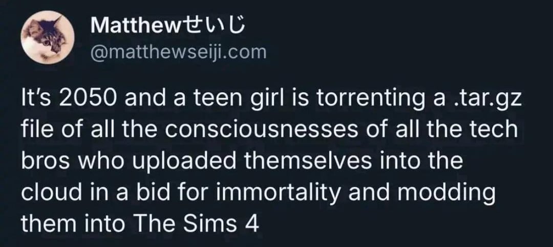 Matthewせいじ @matthewseiji.com It's 2050 and a teen girl is torrenting a .tar.gz file of all the consciousnesses of all the tech bros who uploaded themselves into the cloud in a bid for immortality and modding them into The Sims 4