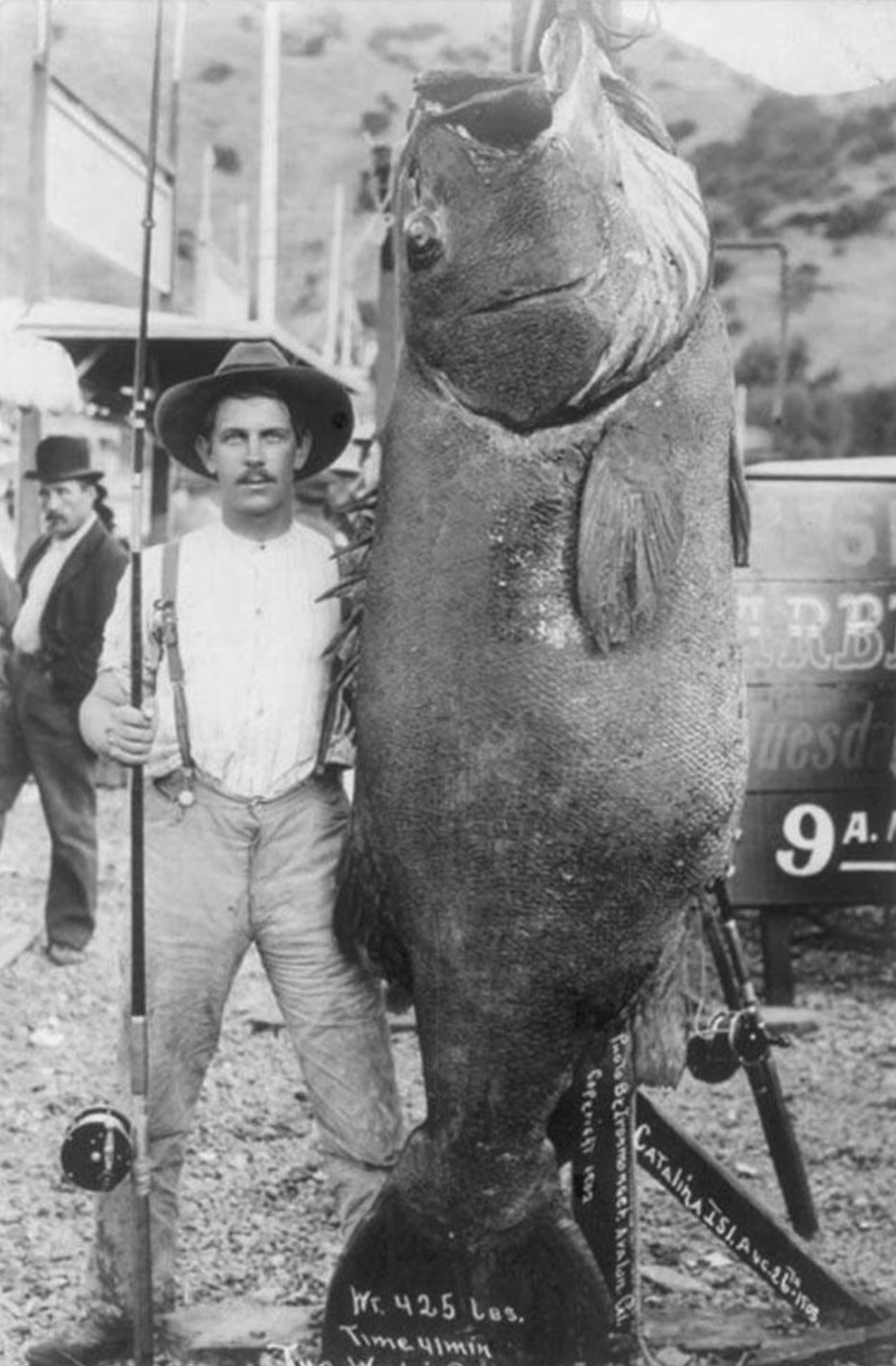 ARB uesda 9A. CATALINA ISI.A vcs Copericht 150 Photo Be Ironmoneck Avalan Wr. 425 Les. Time 41min