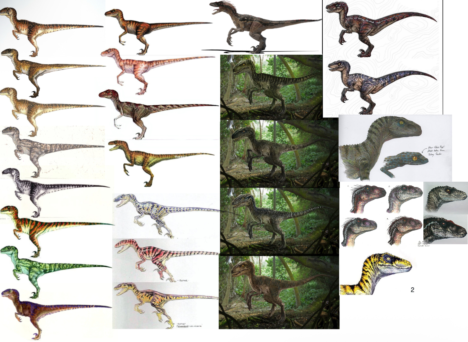 Jurassic park velociraptor concept art | Know Your Meme
