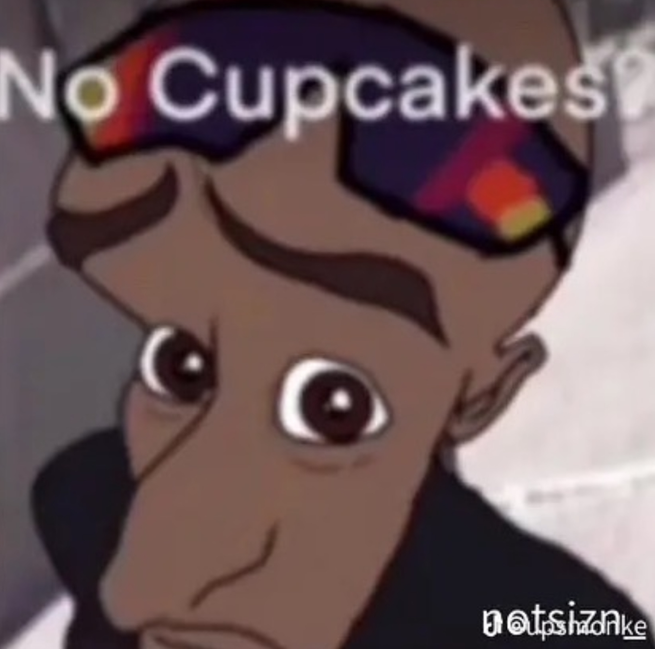 No Cupcakes natsizAke