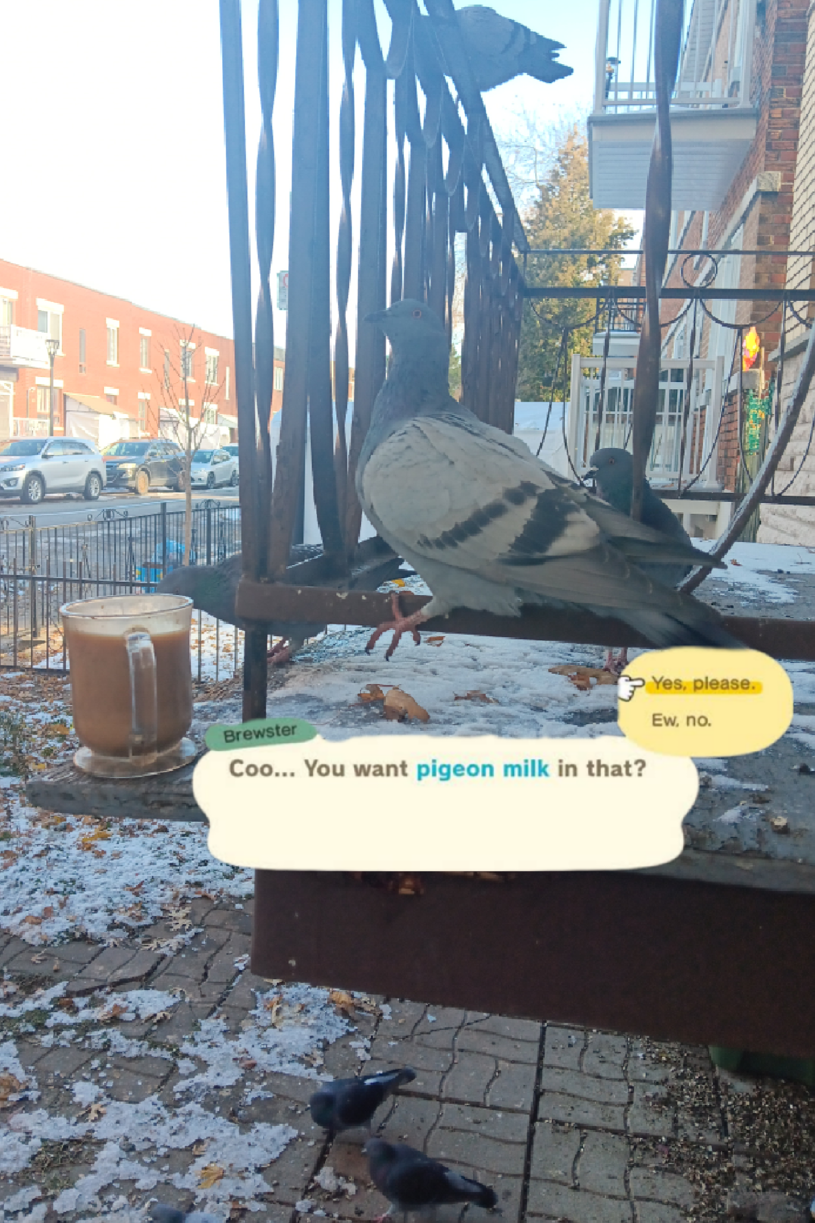 Brewster Coo... You want pigeon milk in that? Yes, please. Ew, no.