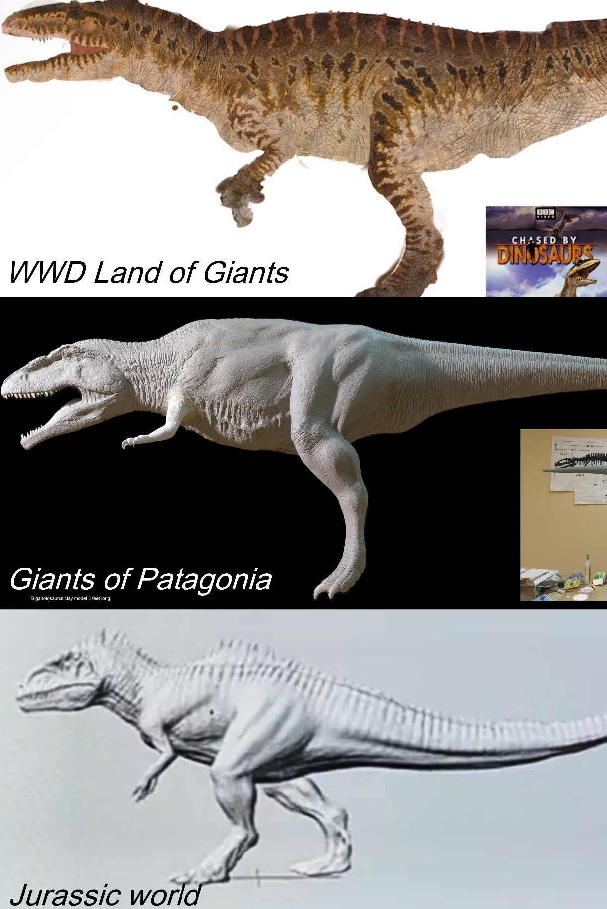 BBC WWD Land of Giants CHASED BY DINOSAURS Giants of Patagonia Giganotosaurus clay model 5 feet long. Jurassic world