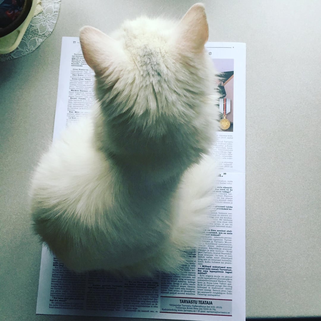 TT- T Alver Kestev Evert Kersti Vund cks on samuti d the 2010 aastal Tarv sinun ede Gümnaasium ettevore 2005 on dosi, mada ber to enda edaspidi A need on ka vallaga? ck bet ma plaane alale oleks olemas ja gimused tuleks porduksid ko us Inimeste soo nord en ma kindlas Me veedame a elust 150 arvan, et see on faktoreid eluko son Sinu meelest oluli watused, mis on meie set leidnud? rekonstrueerimi ami rajamine, Tarvas ja Tarvastu Muusi Kunstikooli uuendamine, avamine. Spust pere Tarvastu Avatud Noortekes skuse avamine. On tore, et meil see leidub vallas noori ettevitjaid ning siin on erinevaid turismita de lasid, kuhu tullakse ka pealin ndu nast ja selle Millised mälestused mee- besmeel muvad sulle esmalt Tarvastust, ca kri- kui oma lapsepalvele tagasi slava motled? Prust Cikool laise Enti sügava mulje on jätnud vanuses, mil mulle pas ning arvatavas jumalateenistused Markus Has India trha Seega ei adinu noore Kirik ob rahvast pungil this ning a leinad inimene, men ja Anna-Liisa Vaheri ajal valiud enam üksnes hilinejad ei mahtunud uksest id tuleb teha kompro nam sissep Samuti pean lagu Veel arvan, et tänapäeval iga-aastasest rongkligast Eesti Whed paljud noored maailma Vabariig aastapäeval TARVASTU TEATAJA Valjaandja Tarvastu Vallavalitsus pel 435 1810 Toimetaja Kristi Dves el 5344 8176 Kodulehekülg www.arvastu.ee E-post tarvastatarvastu.ee