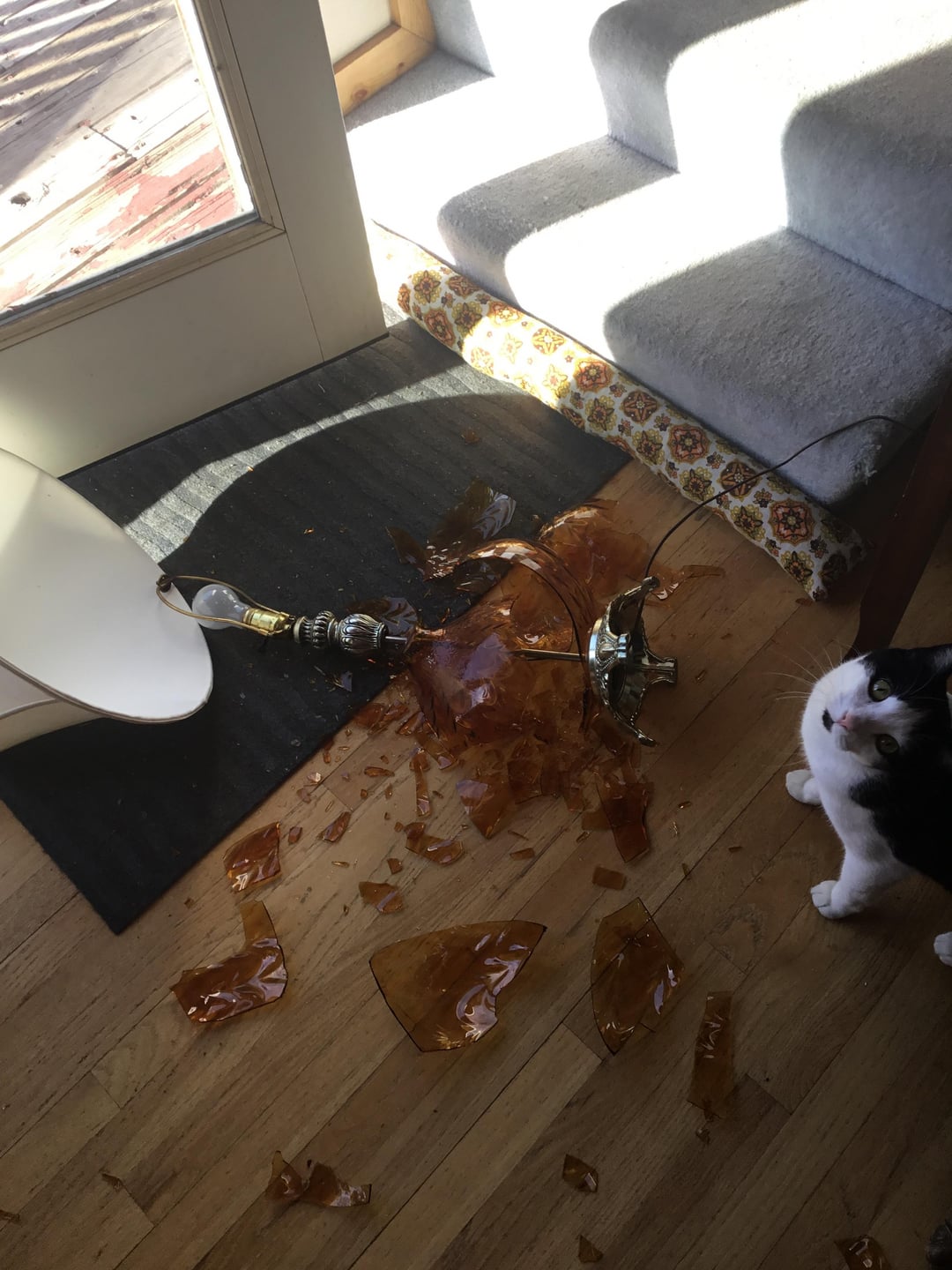 Who could have done that?