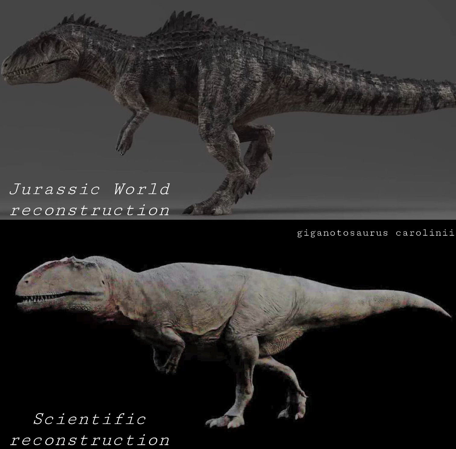 Jurassic World reconstruction Scientific reconstruction giganotosaurus carolinii