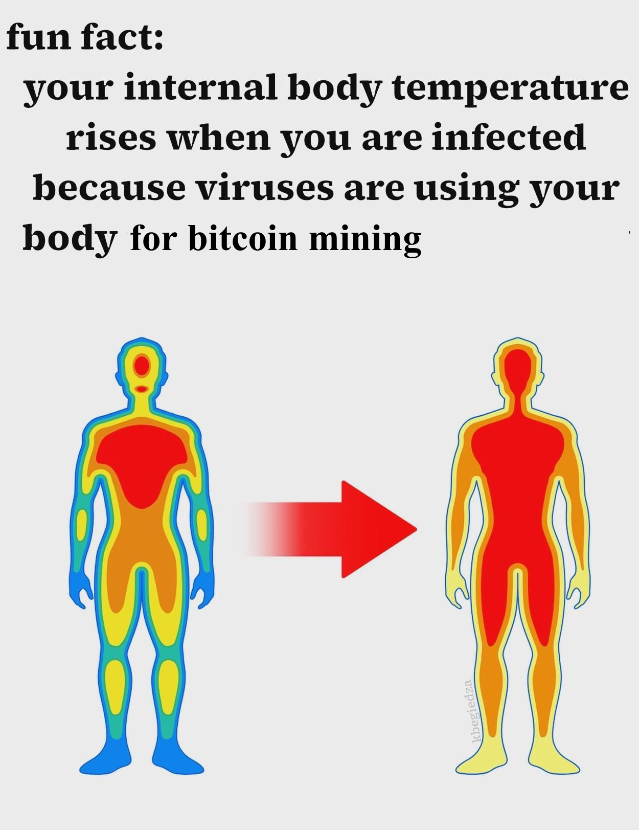 my body is an asic | /r/dankmemes | Know Your Meme
