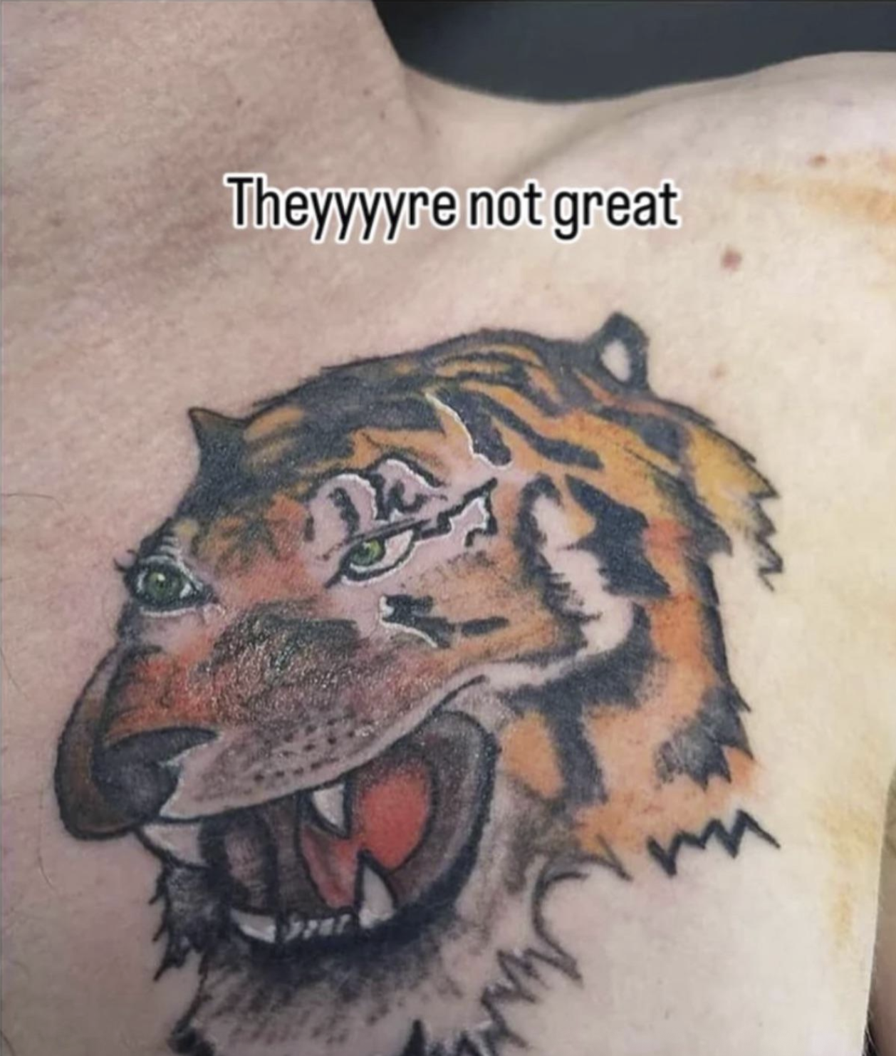 Theyyyyre not great grat m