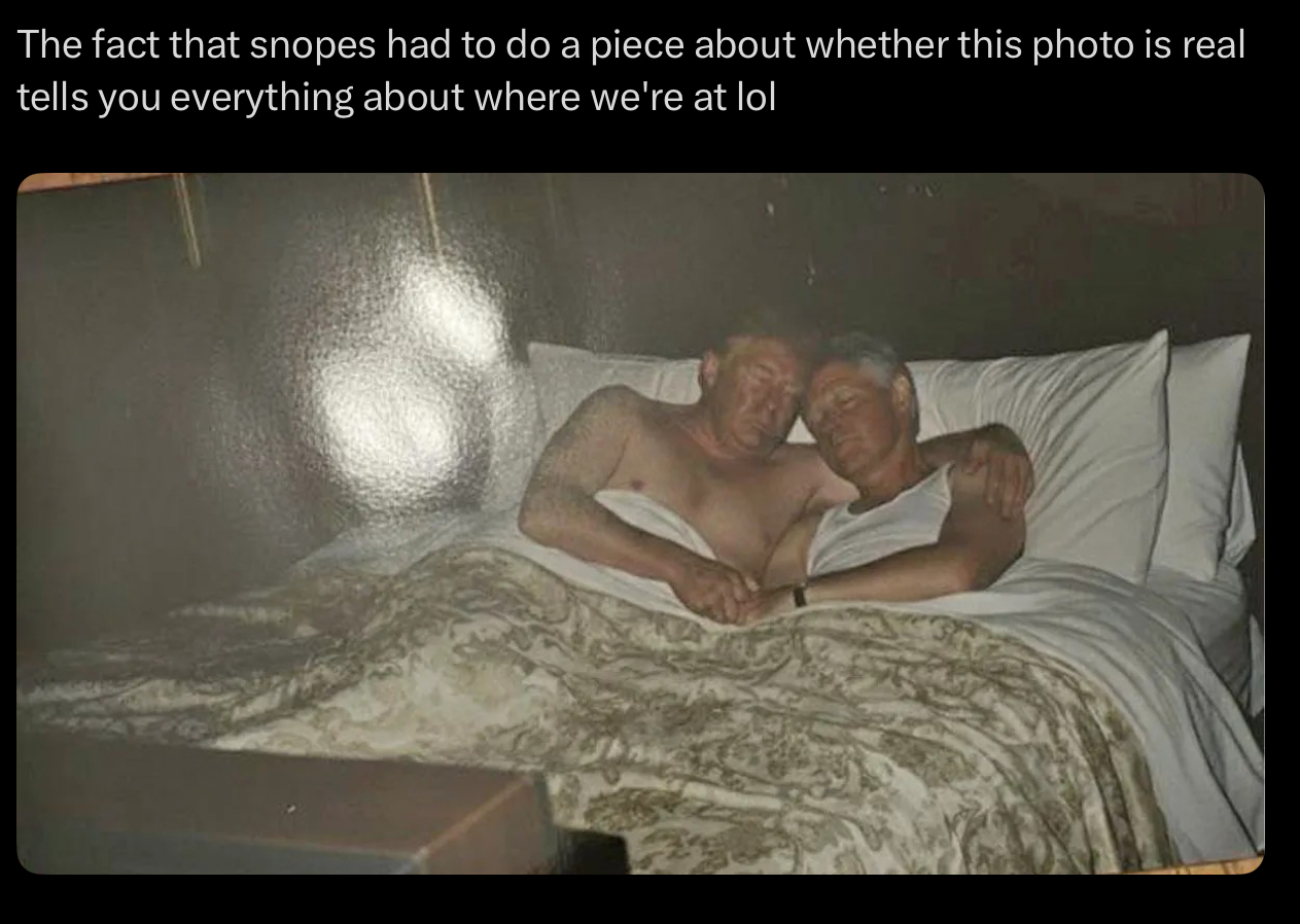 The fact that snopes had to do a piece about whether this photo is real tells you everything about where we're at lol