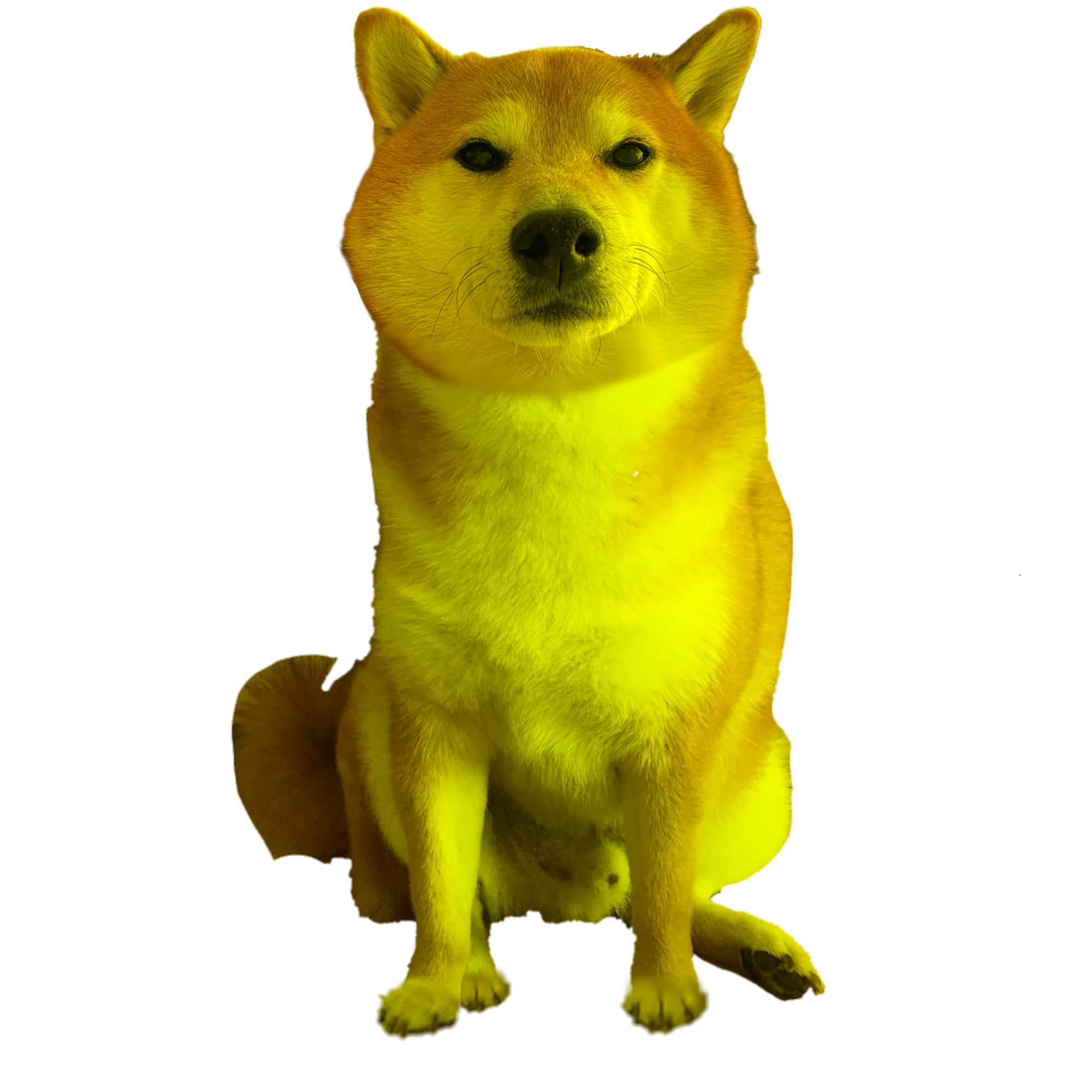 I made a yellow forward cheems. I've done the normal version before. | /r/dogelore