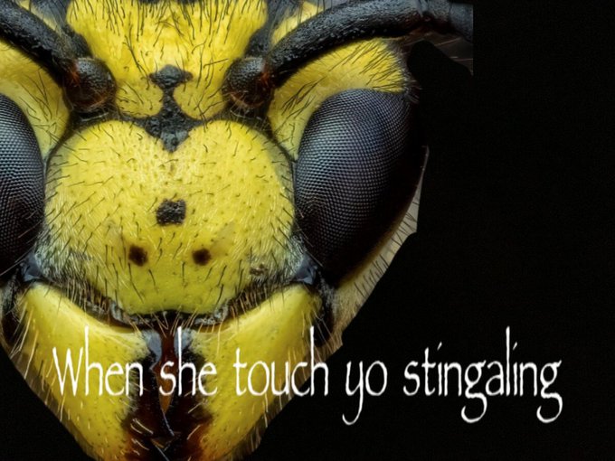 When She Touch Yo Stingaling | When She Touch Yo Dingaling | Know Your Meme