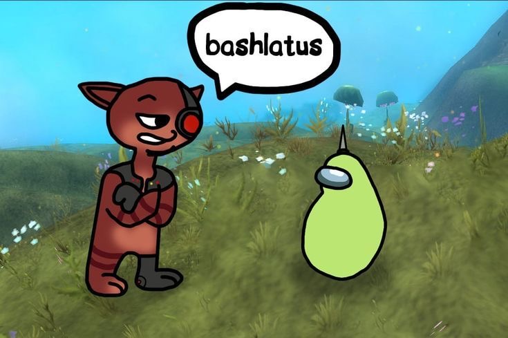 bashlatus