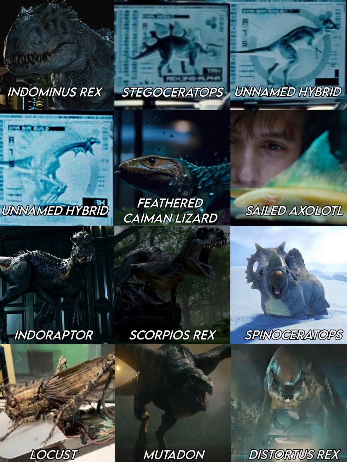 INDOMINUS REX RLS BUILD RH UNNAMED HYBRID 18031 DOR BUILDIN R 7 5 B STEGOCERATOPS UNNAMED HYBRID FEATHERED SAILED AXOLOTL CAIMAN LIZARD INDORAPTOR SCORPIOS REX SPINOCERATOPS LOCUST MUTADON DISTORTUS REX