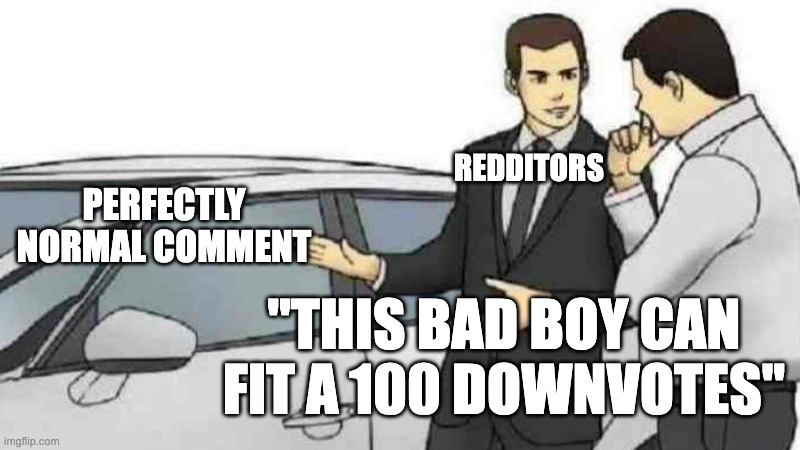 Some comments get downvoted for absolutely no reason | /r/memes | Know ...
