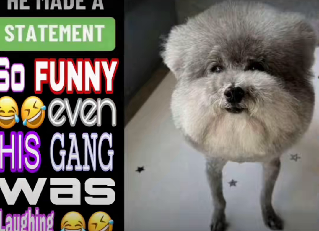 He Made A Statement So Funny Even His Gang Was Laughing Know Your Meme He Made A Statement So Funny Even His Gang Was Laughing Know Your Meme
