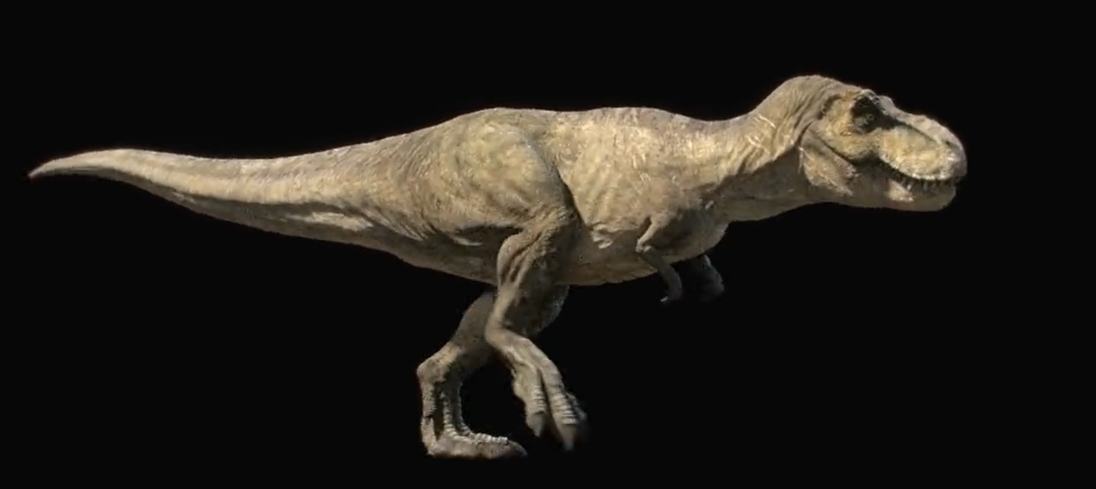 Rexy 2022 model 