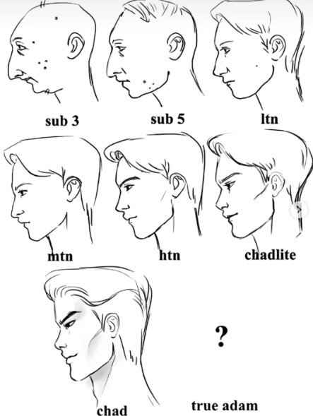 Another example of the PSL Scale from the looksmaxxing community, shared on Instagram in late December 2025.