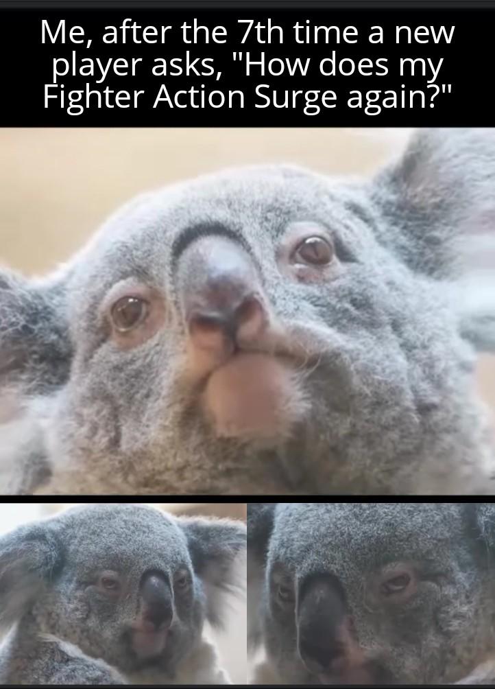 Me, after the 7th time a new player asks, "How does my Fighter Action Surge again?"