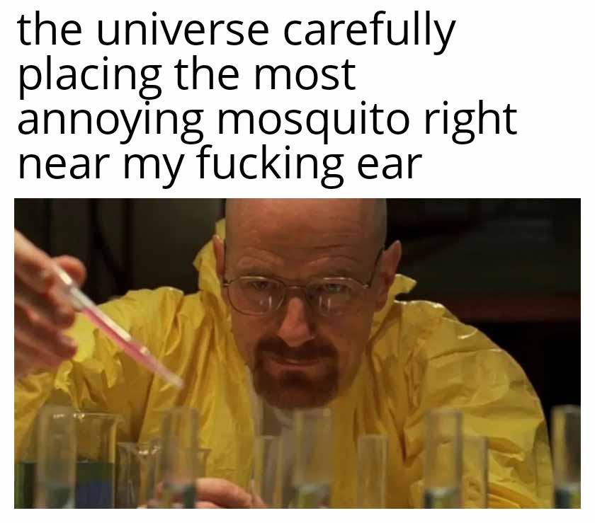 the universe carefully placing the most annoying mosquito right near my f------ ear