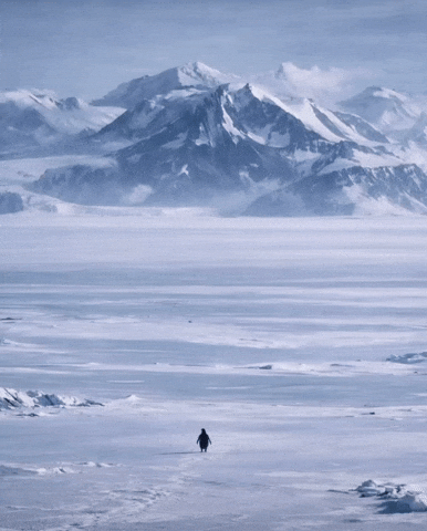 Lonely Penguin Mountain Meme and GIF