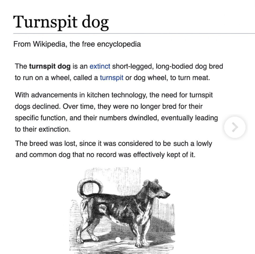 The turnspit dog | Know Your Meme