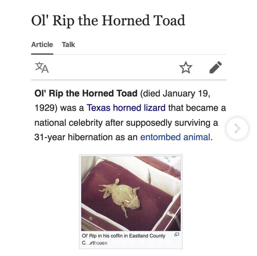 'Ol Rip | Know Your Meme